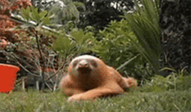 drunk-morning.gif